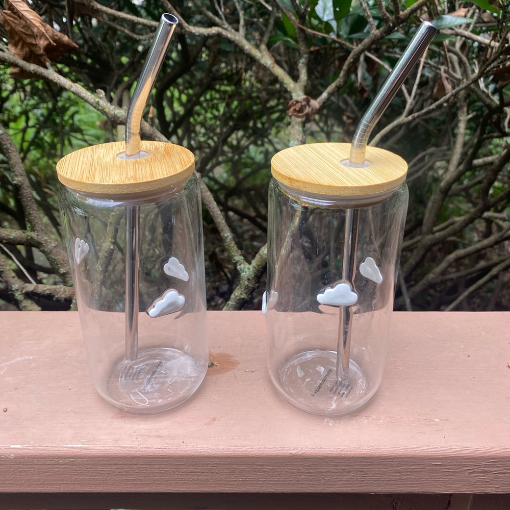 Glass Tumbler with Bamboo Lid and Straw (2)